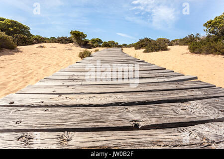 Holzsteg im asperillo Dünen, Donana Naturpark, Matalascañas, Provinz Huelva, Costa de la Luz, Andalusien, Spanien Stockfoto