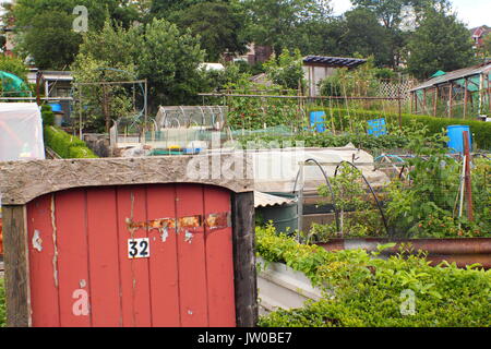 Eine florierende suburban Schrebergarten an einem sonnigen Tag im Sommer (Juni) auf einen Tag der offenen Tür Veranstaltung, Sheffield, Großbritannien Stockfoto