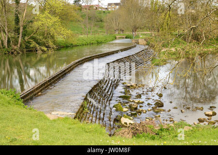 Tellisford Wehr, die die Wiltshire Seite Der Fluss Frome belegt. Stockfoto