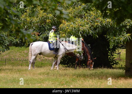 Paar Polizei Pferde eine Pause im Hyde Park, London Stockfoto