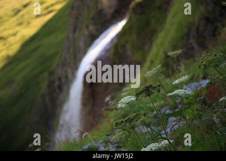 Schleierfall Cascade in Tux, Tirol Stockfoto