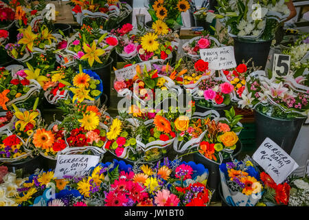 Anzeige von Blumen für den Verkauf Stockfoto