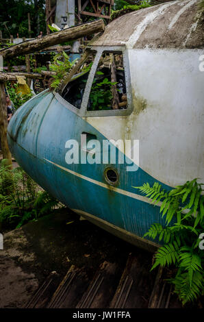 Cockpit eines abgestürzten Flugzeug im Dschungel mit grünen und Pflanzen. Stockfoto