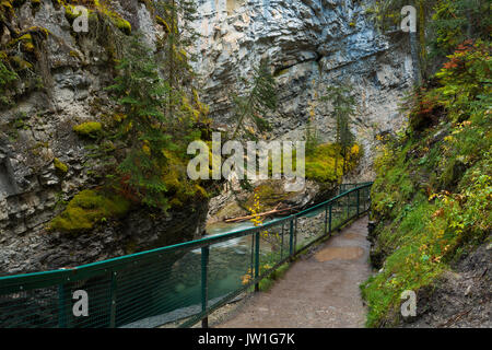 Der Weg entlang der Johnston Canyon im Banff National Park, Alberta, Kanada. Stockfoto