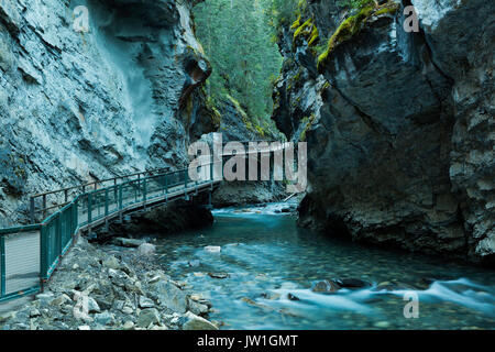 Der Weg entlang der Johnston Canyon im Banff National Park, Alberta, Kanada. Stockfoto