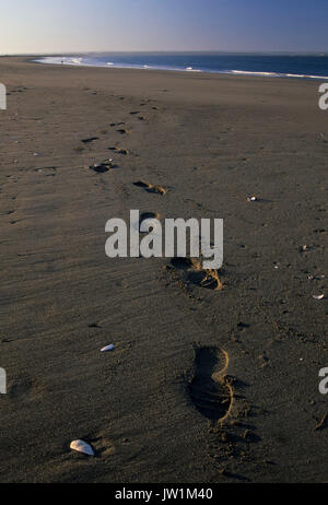 Beach Footprints, Damon Point State Park, Washington Stockfoto