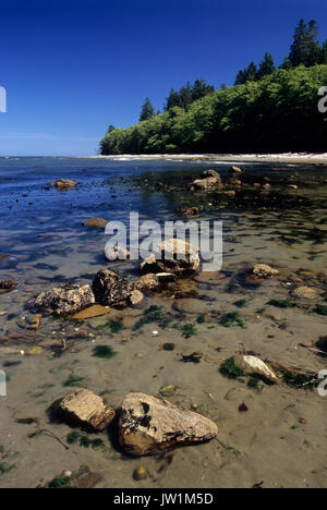 Straße von Juan de Fuca Shoreline, Shipwreck Point Naturraum bewahren, Clallam County, Washington Stockfoto