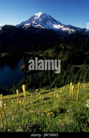 Mt Rainier von tolmie Peak mit beargrass, Mt Rainier National Park, Washington Stockfoto