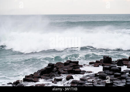 Giants Causeway Stockfoto
