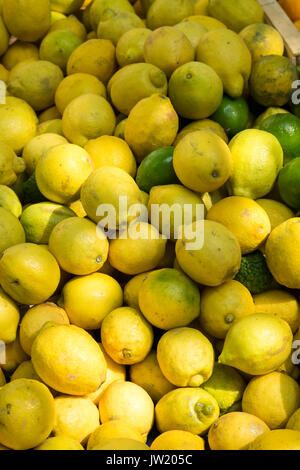 Zitronen für den Verkauf am freien Markt in Carcassonne, Frankreich. Stockfoto