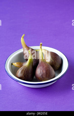 Ficus Carica 'Brown Turkey'. Frische Feigen in einer Emaille Schüssel abgeholt Stockfoto