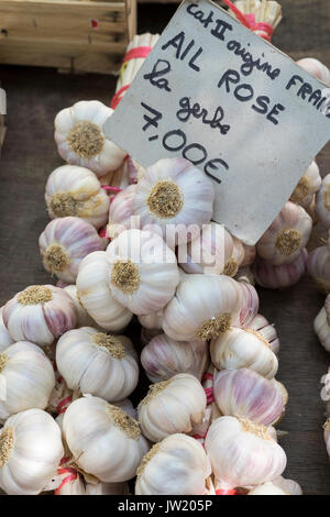 Knoblauch Trauben für Verkauf an den Markt in Carcassonne, Frankreich. Stockfoto