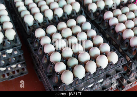 Eiern aus Ente Farm in das Paket, das für den Verkauf im Großhandel zu erhalten. Stockfoto