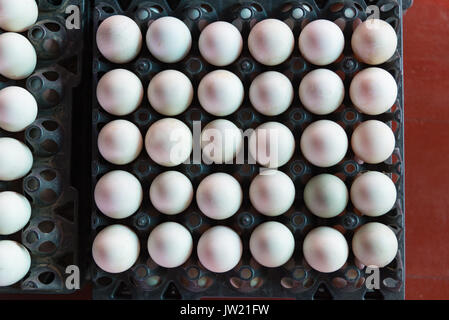 Eiern aus Ente Farm in das Paket, das für den Verkauf im Großhandel zu erhalten. Stockfoto