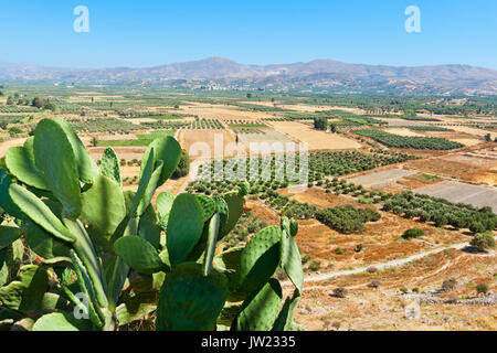 Ansicht der Messara-Ebene von der Hügel von Phaistos. Kreta, Griechenland Stockfoto