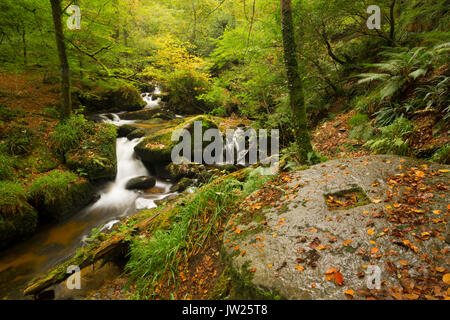 Kennall Vale; Cornwall, UK Stockfoto