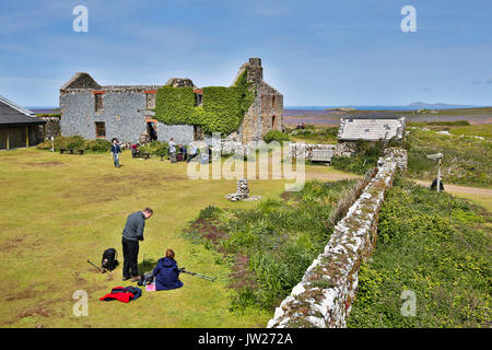 Skomer; Wales; UK Stockfoto