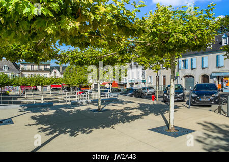 Platanen (Platanus) ausgebildet werden für den overhead Tierheim, Monein, Pyrénées-Atlantiques, Frankreich. Stockfoto