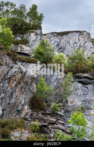 Ballachulish Schiefergrube, bewachsene Felsen, Lochaber, Highland, Schottland, UK Stockfoto