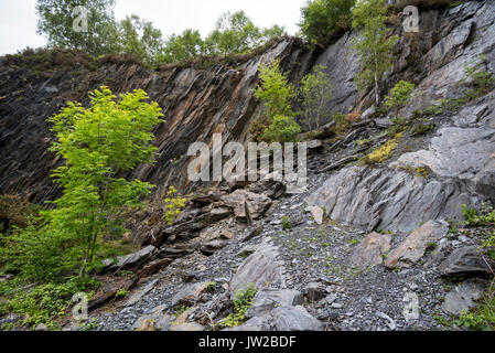 Ballachulish Schiefergrube, bewachsene Felsen, Lochaber, Highland, Schottland, UK Stockfoto