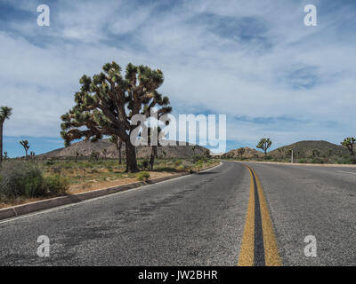 Endlose Straße in Joshua Tree National Park Stockfoto