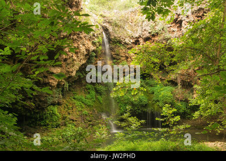 Natürliche, halbschattigen Wasserfall laufen in einem kleinen Pool, umgeben von Bäumen Stockfoto