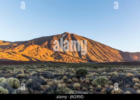 Der Kanarischen Inseln, Teneriffa. Parque Nacional del Teide Stockfoto