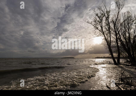 Beleuchtete Bäume auf einem See mit Sonne tief am Horizont und Wasser Wellen Stockfoto