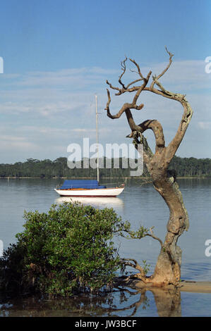 Ein friedlicher Anlegeplatz für einen traditionellen Klinker-Schaluppe in Tilligerry Creek, Lemon Tree Passage, Port Stephens Shire, New South Wales, Australien: Stockfoto