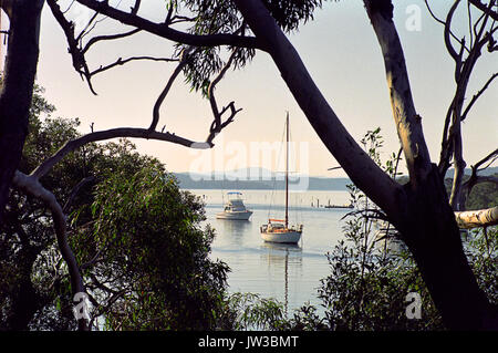 Ruhigen Liegeplatz im Tilligerry Creek, Lemon Tree Passage, Port Stephens Shire, New South Wales, Australien Stockfoto