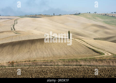 Italien, Toskana, San Quirico d'Orcia, lange verdrehen ländlichen Straße durch endlose Felder und Lonely Cypress Tree Stockfoto