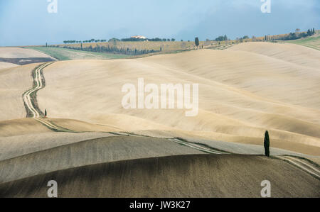 Italien, Toskana, San Quirico d'Orcia, lange verdrehen ländlichen Straße durch endlose Felder und Lonely Cypress Tree Stockfoto