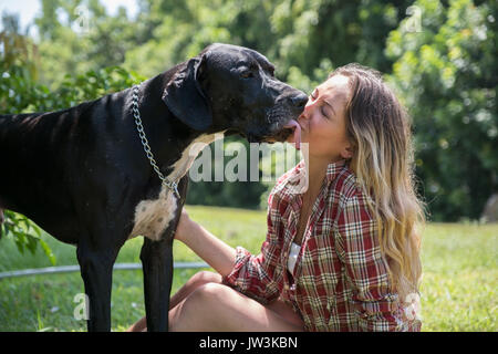 Dogge lecken Gesicht der Frau Stockfoto