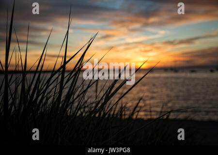 Die Sonne Stockfoto