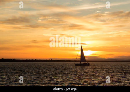 Coming Home Stockfoto