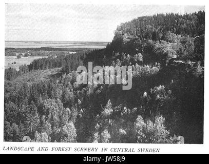 Unbekannte Schweden 027 Landschaft und Wald landschaft in Mittelschweden Stockfoto