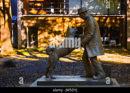 Hachiko mit Dr. Hidesaburo Ueno Statue an der Universität Tokyo, Todai Campus Stockfoto