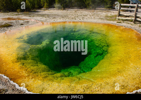Morning Glory Pool, Yellowstone-Nationalpark Stockfoto