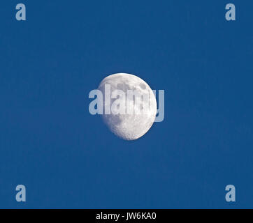 Waxing Gibbous Mond im blauen Himmel im Juli Mitte Abend. Stockfoto