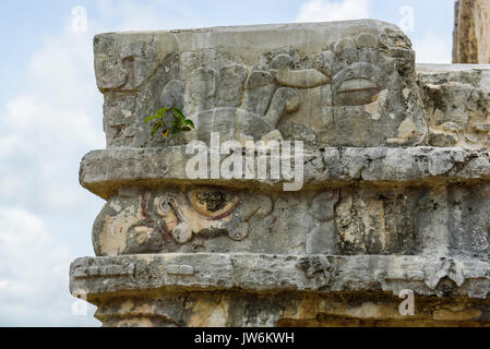 Detail der Tourtle Gebäude in Tulum, Quintana Roo (Mexiko) Stockfoto