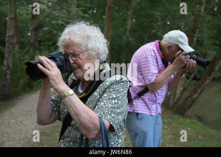 Ältere Paare fotografieren, im Freien, England, Großbritannien Stockfoto