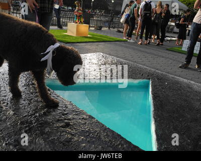 Die Australian Labradoodle Woodley stehend auf der Skulptur 'Penumbra Oasis' des Künstlers Eleanna Anagnos am 'Dogumenta", der ersten Ausstellung für Hunde, in New York, USA, 10. August 2017. Die erste Ausstellung für Hunde, die "ogumenta', wurde in New York eröffnet. Foto: Johannes Schmitt-Tegge/dpa Stockfoto