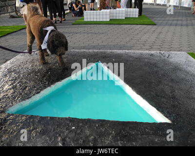 Die Australian Labradoodle Woodley stehend auf der Skulptur 'Penumbra Oasis' des Künstlers Eleanna Anagnos am 'Dogumenta", der ersten Ausstellung für Hunde, in New York, USA, 10. August 2017. Die erste Ausstellung für Hunde, die "ogumenta', wurde in New York eröffnet. Foto: Johannes Schmitt-Tegge/dpa Stockfoto