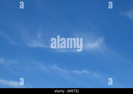 London, Großbritannien. 11 Aug, 2017. Blauer Himmel über Canary Wharf mit leichter Bewölkung. : Credit: Claire Doherty Alamy/Live-Nachrichten Stockfoto