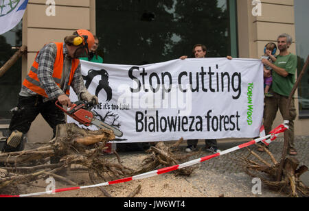 Berlin, Deutschland. 11 Aug, 2017. Mitglieder der Umweltschutzorganisation "Robin Wood" protestieren mit Baumstamm Peelings und ein Banner mit der Oberseite des text Bialowieza forest' gegen das Clearing der Polnischen Bialowieza Waldes, die auf der UN-Liste stehen, von Weltnaturerbe gehört, in Berlin, Deutschland, 11. August 2017. Foto: Paul Zinken/dpa/Alamy leben Nachrichten Stockfoto