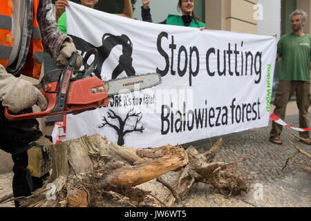 Berlin, Deutschland. 11 Aug, 2017. Mitglieder der Umweltschutzorganisation "Robin Wood" protestieren mit Baumstamm Peelings und ein Banner mit der Oberseite des text Bialowieza forest' gegen das Clearing der Polnischen Bialowieza Waldes, die auf der UN-Liste stehen, von Weltnaturerbe gehört, in Berlin, Deutschland, 11. August 2017. Foto: Paul Zinken/dpa/Alamy leben Nachrichten Stockfoto