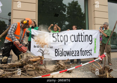 Berlin, Deutschland. 11 Aug, 2017. Mitglieder der Umweltschutzorganisation "Robin Wood" protestieren mit Baumstamm Peelings und ein Banner mit der Oberseite des text Bialowieza forest' gegen das Clearing der Polnischen Bialowieza Waldes, die auf der UN-Liste stehen, von Weltnaturerbe gehört, in Berlin, Deutschland, 11. August 2017. Foto: Paul Zinken/dpa/Alamy leben Nachrichten Stockfoto