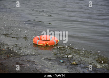 Cannock, Staffordshire, Großbritannien. 11. August 2017. blau/grün Algen als problematisch im chasewater Country Park mit Warnzeichen gegen ins Wasser Quelle: Daniel James armishaw/alamy live News hit Stockfoto