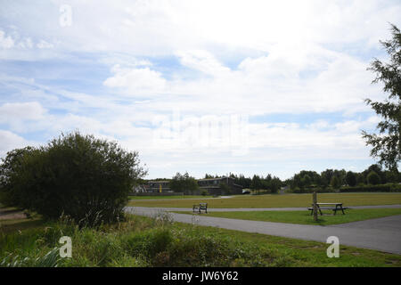 Cannock, Staffordshire, Großbritannien. 11. August 2017. blau/grün Algen als problematisch im chasewater Country Park mit Warnzeichen gegen ins Wasser Quelle: Daniel James armishaw/alamy live News hit Stockfoto
