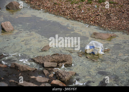 Cannock, Staffordshire, Großbritannien. 11. August 2017. blau/grün Algen als problematisch im chasewater Country Park mit Warnzeichen gegen ins Wasser Quelle: Daniel James armishaw/alamy live News hit Stockfoto